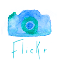 Flickr Icon